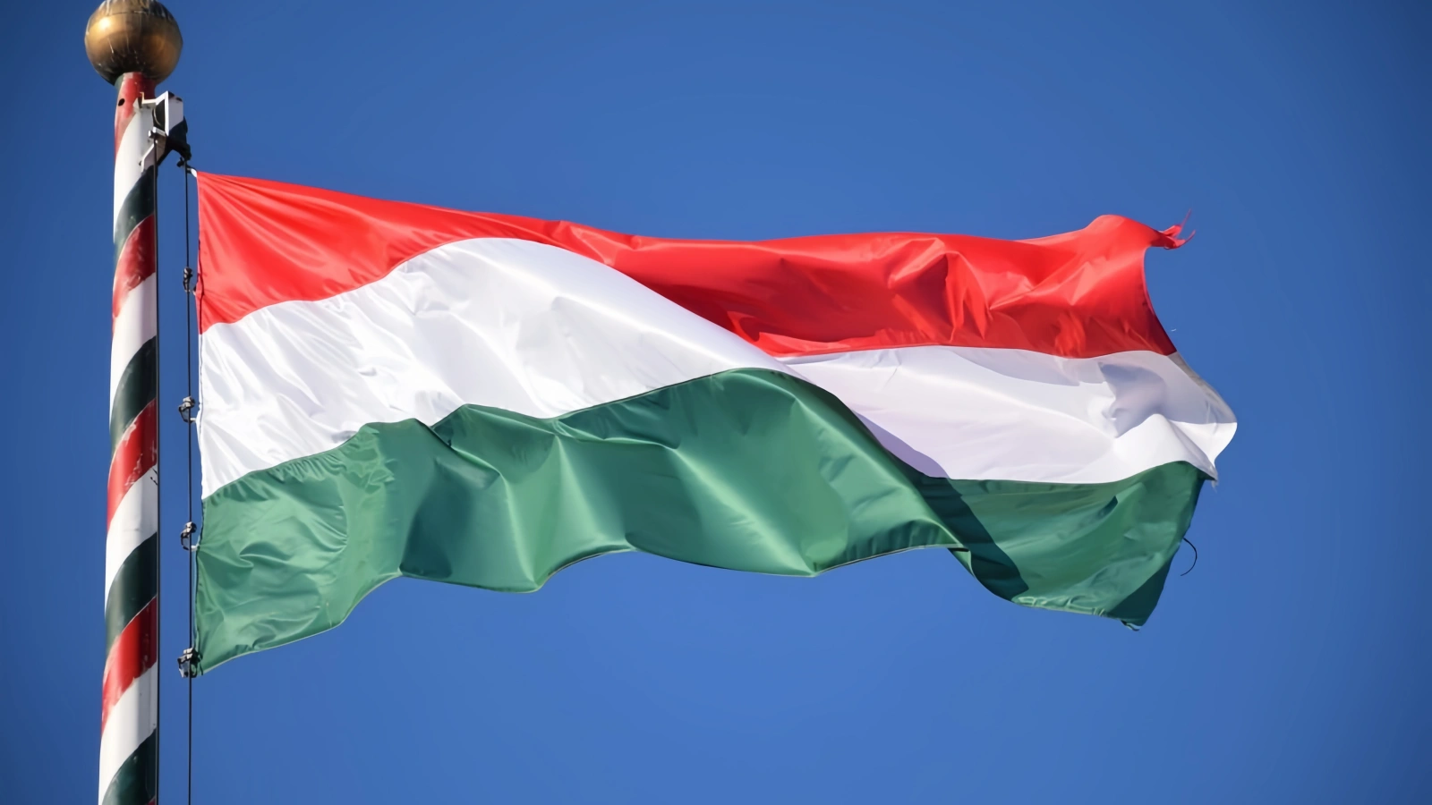 Hungarian Photovoltaic Miracle----The bright light in the new energy field